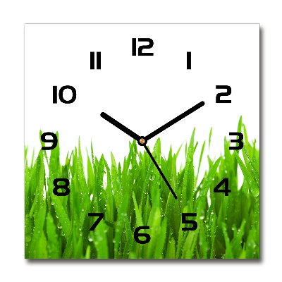 Horloge carrée en verre Herbe