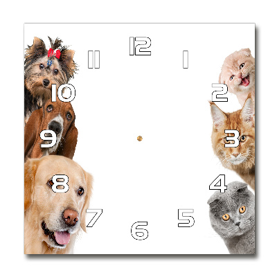 Horloge carrée en verre Chiens et chats