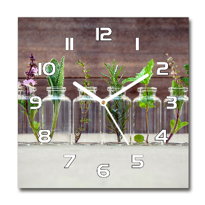 Horloge carrée en verre Plantes en pots