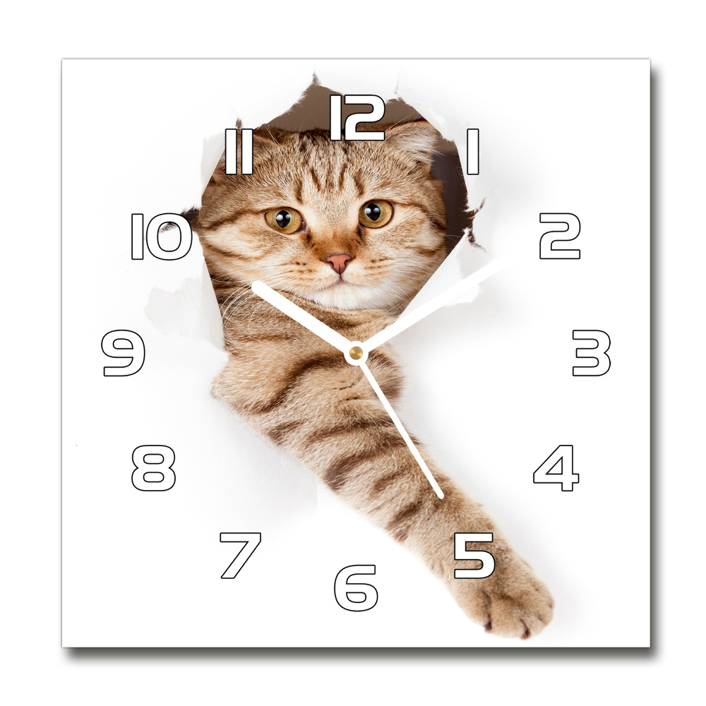 Horloge murale carrée Chat