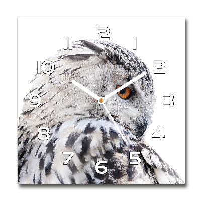 Horloge carrée en verre Hibou blanc