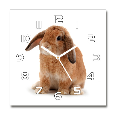 Horloge carrée en verre Lapin rouge