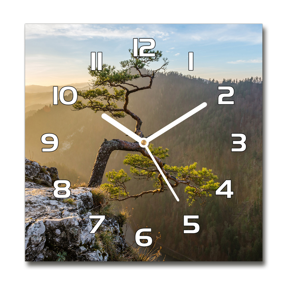 Horloge carrée en verre Sokolica Pieniny