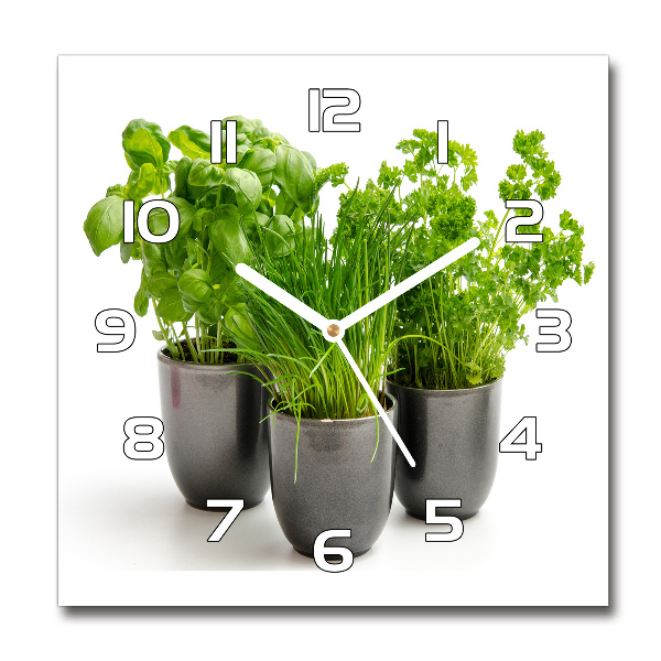 Horloge carrée en verre Herbes en pots