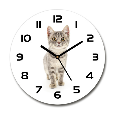 Horloge ronde murale Chat gris