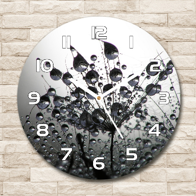 Horloge ronde murale Graines de souffleur