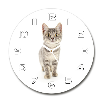 Horloge ronde murale Chat gris