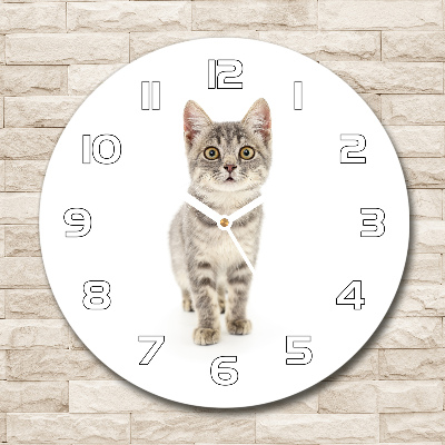 Horloge ronde murale Chat gris