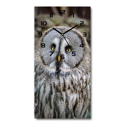 Horloge murale en verre rectangulaire Chouette