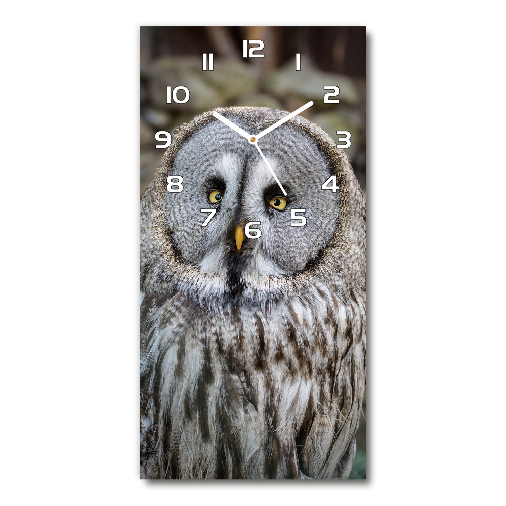 Horloge murale en verre rectangulaire Chouette