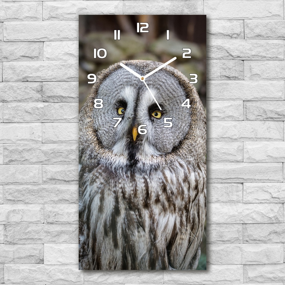 Horloge murale en verre rectangulaire Chouette