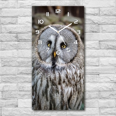 Horloge murale en verre rectangulaire Chouette