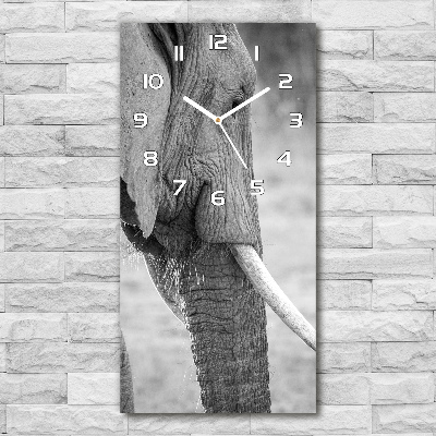 Horloge murale en verre rectangulaire Éléphant