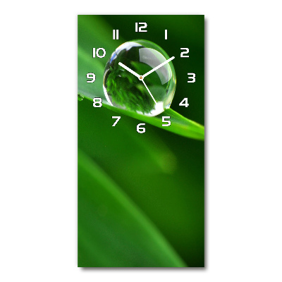 Horloge murale en verre rectangulaire Lame d'herbe