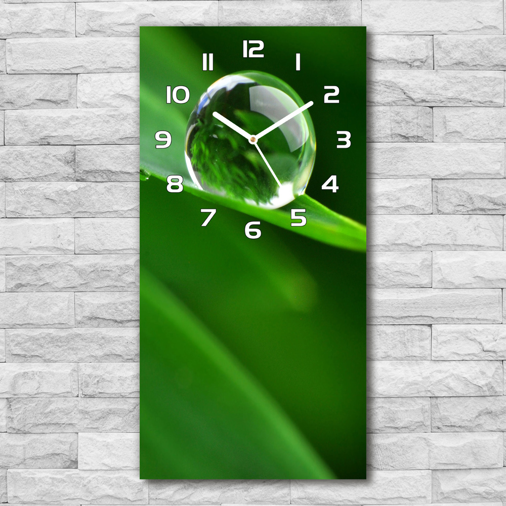 Horloge murale en verre rectangulaire Lame d'herbe