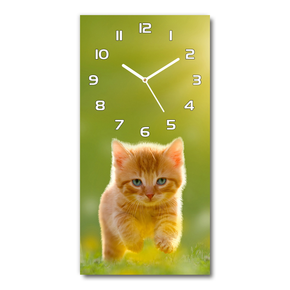 Horloge murale en verre rectangulaire Chat roux