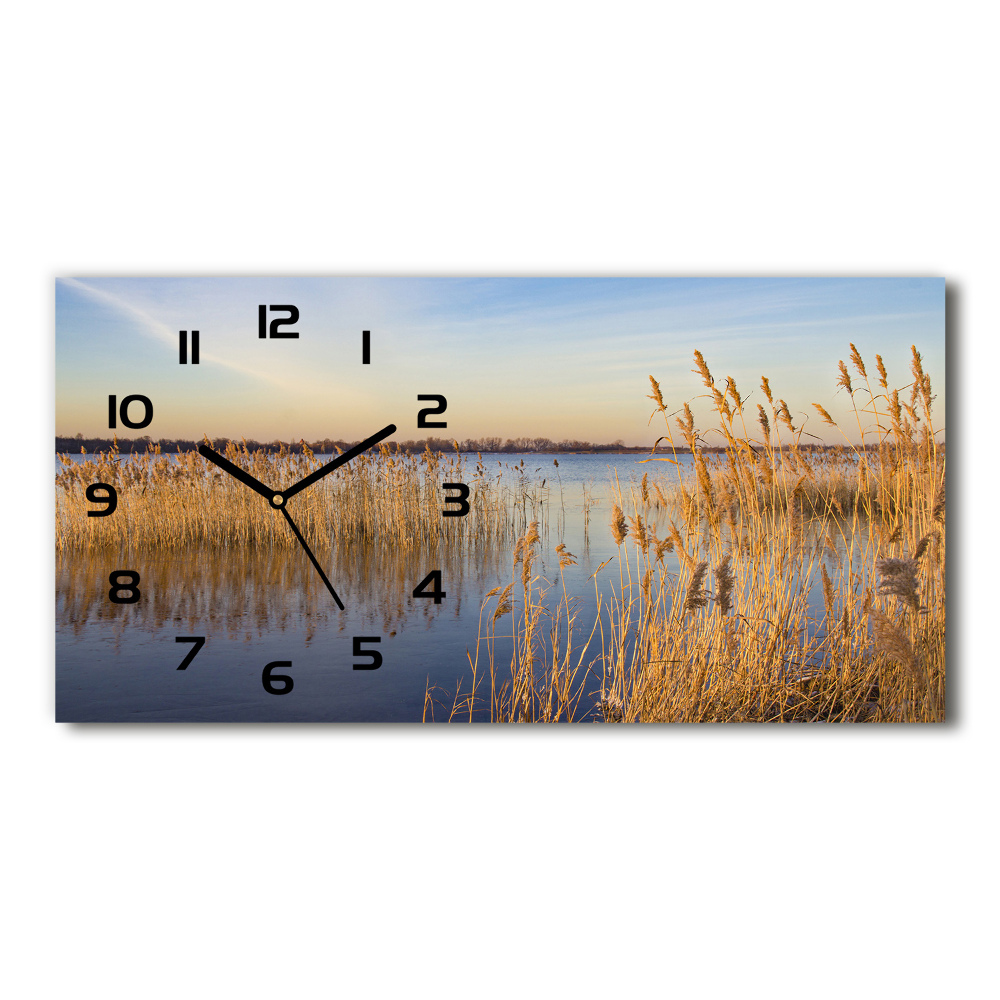 Horloge horizontale Roseau d'eau