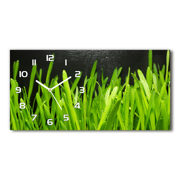 Horloge murale horizontale Tiges d'herbe