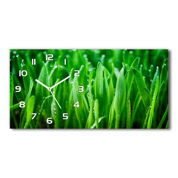 Horloge horizontale L'herbe verte