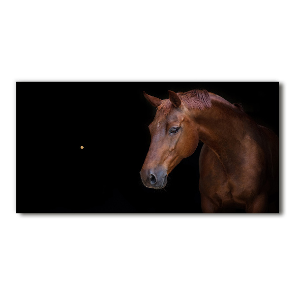 Horloge horizontale Cheval brun