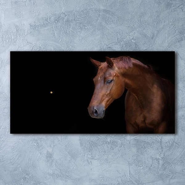 Horloge horizontale Cheval brun