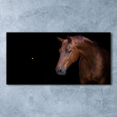 Horloge horizontale Cheval brun