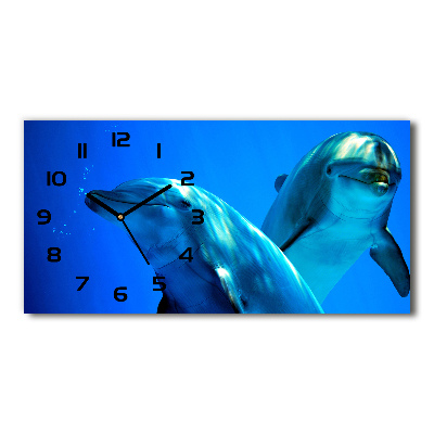 Horloge horizontale Deux dauphins