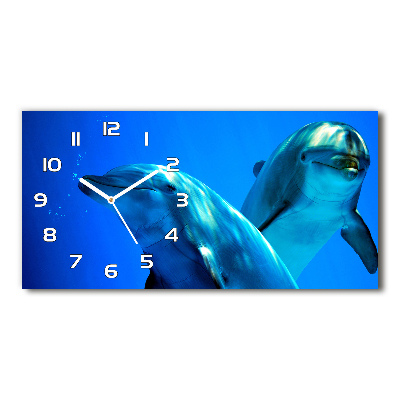 Horloge horizontale Deux dauphins