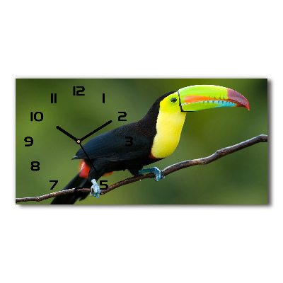 Horloge rectangulaire horizontale Toucan