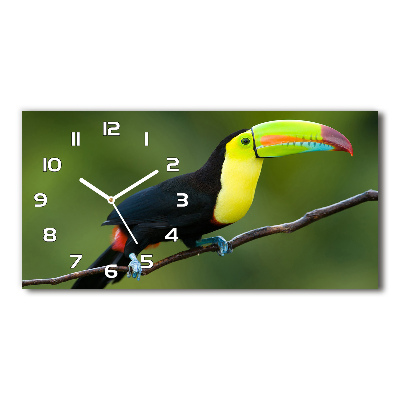 Horloge rectangulaire horizontale Toucan