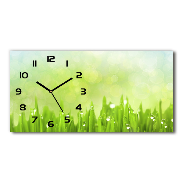 Horloge horizontale en verre Tiges d'herbe