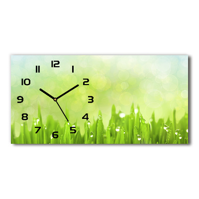 Horloge horizontale en verre Tiges d'herbe