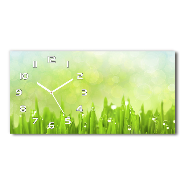 Horloge horizontale en verre Tiges d'herbe