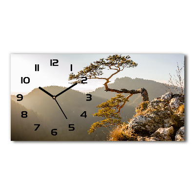 Horloge horizontale en verre Sokolica Pieniny