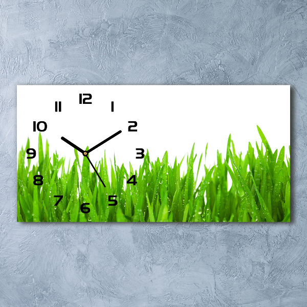 Horloge rectangulaire horizontale Tiges d'herbe