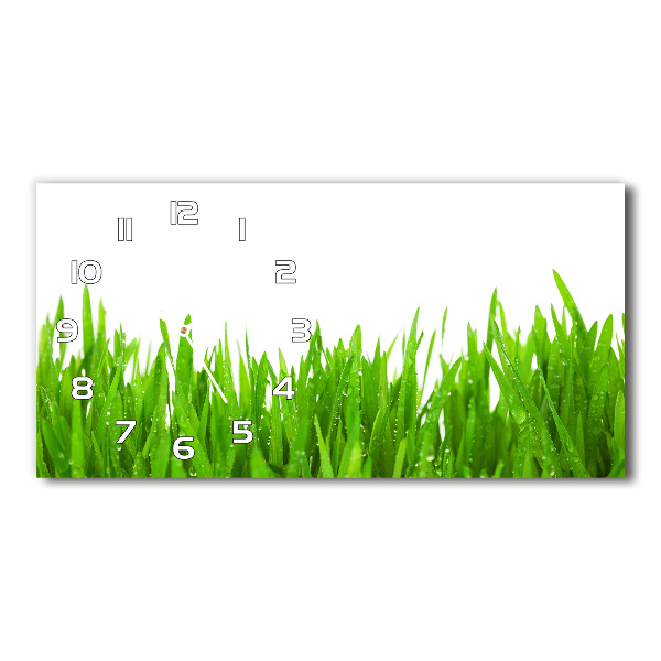 Horloge rectangulaire horizontale Tiges d'herbe
