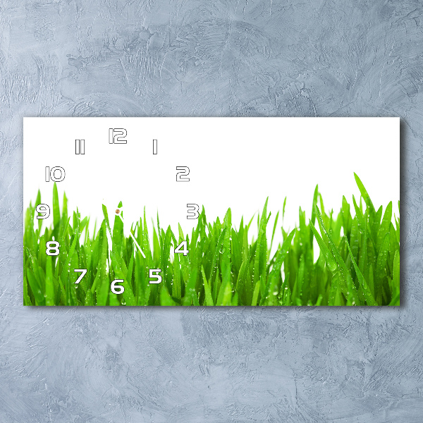 Horloge rectangulaire horizontale Tiges d'herbe