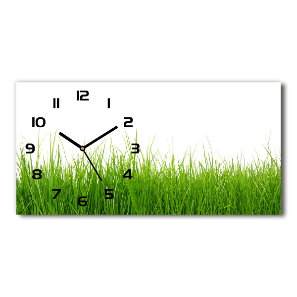Horloge murale horizontale Herbe