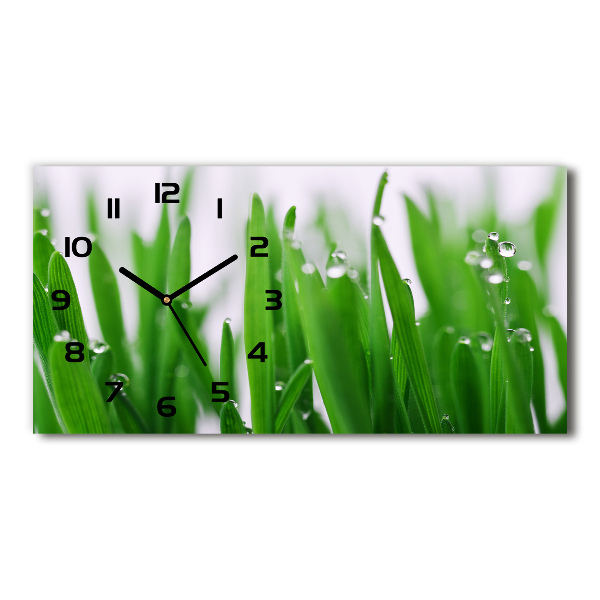 Horloge horizontale Tiges d'herbe