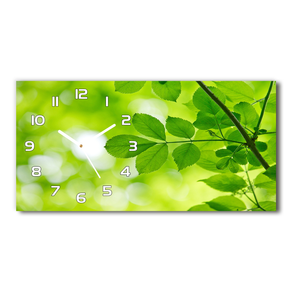 Horloge murale horizontale Feuilles vertes