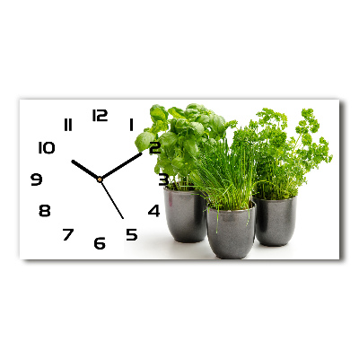 Horloge horizontale Herbes en pots