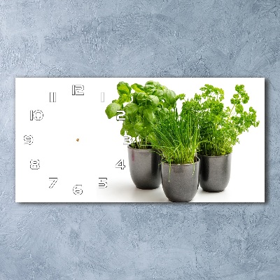 Horloge horizontale Herbes en pots