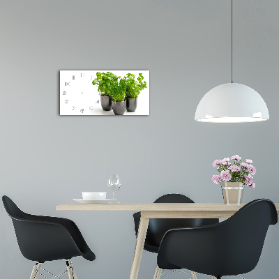 Horloge horizontale Herbes en pots