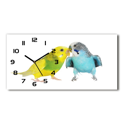 Horloge rectangulaire horizontale Perruches ondulées