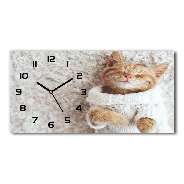 Horloge horizontale en verre Chat en pull-over