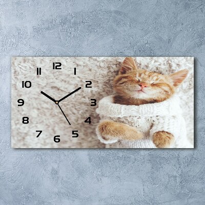 Horloge horizontale en verre Chat en pull-over