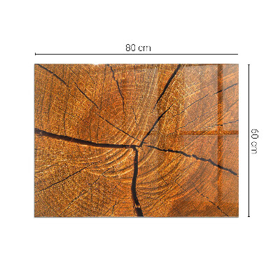 Plaque rectangulaire en verre pour poêle Bois en coupe transversale avec grain naturel