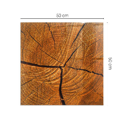 Plaque rectangulaire en verre pour poêle Bois en coupe transversale avec grain naturel