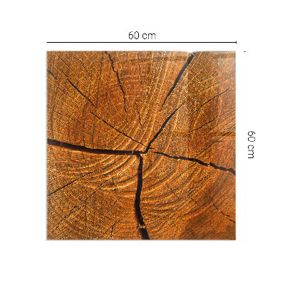 Plaque rectangulaire en verre pour poêle Bois en coupe transversale avec grain naturel