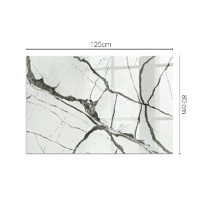 Plaque verre rectangulaire cheminée Les veines du marbre dans un style élégant